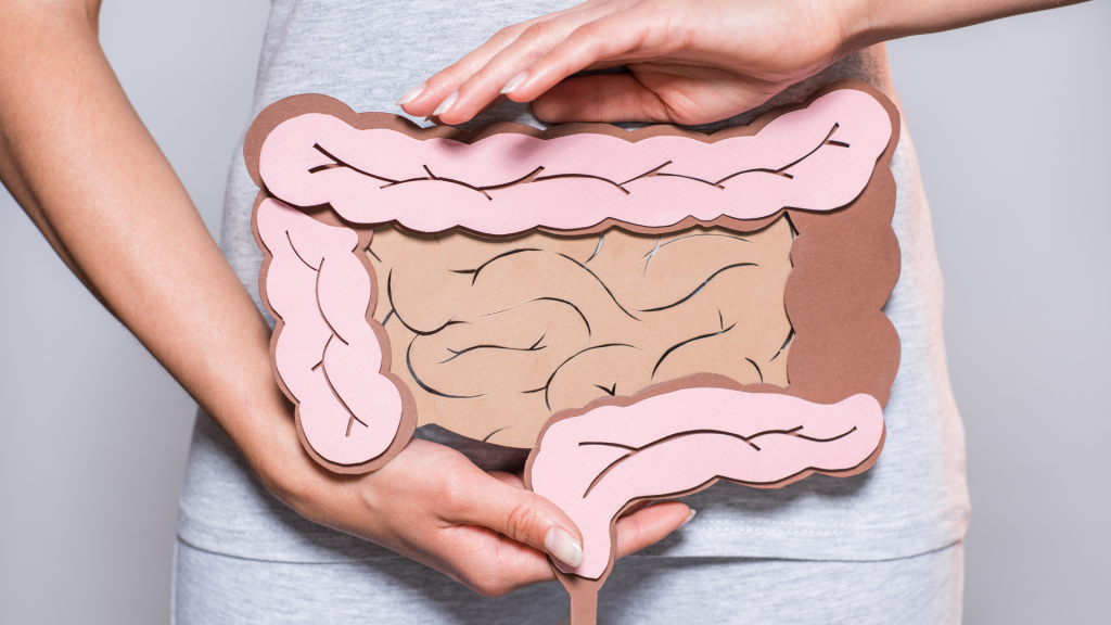 Representação da região intestinal, referindo-se às doenças inflamatórias intestinais, ou DIIs